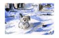 Puppy in Snow
